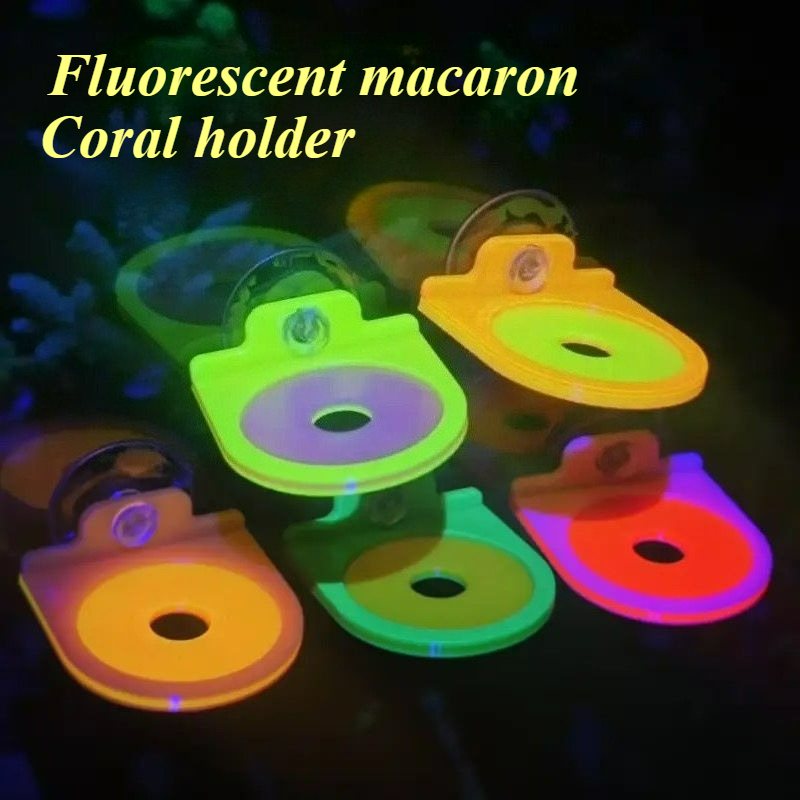 Marine Aquarium Live - Kolor losowy koralowy uchwyt na fragmenty
