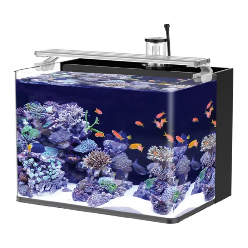 Marine Aquarium Live - Zakrzywiony stolik z akwarium morskim na
