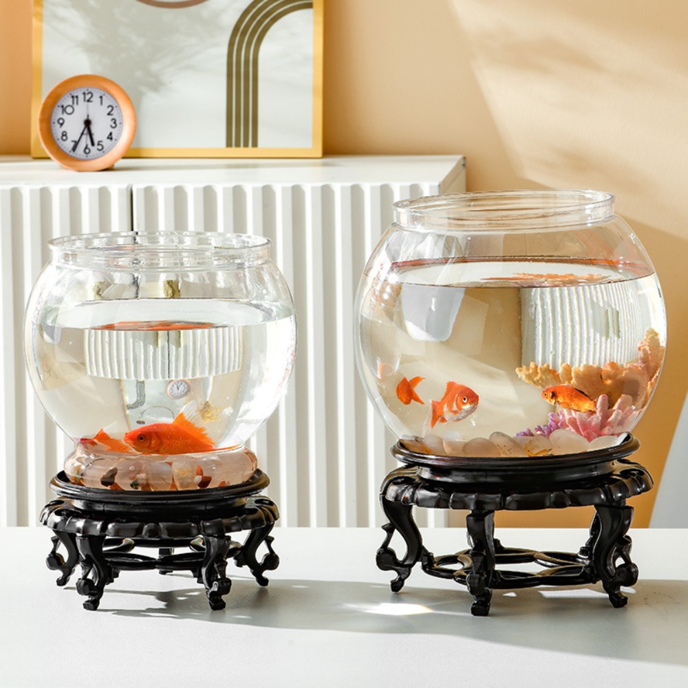 Akwarium Domowe Przezroczyste  – Marine Aquarium Live recenzja i cena
