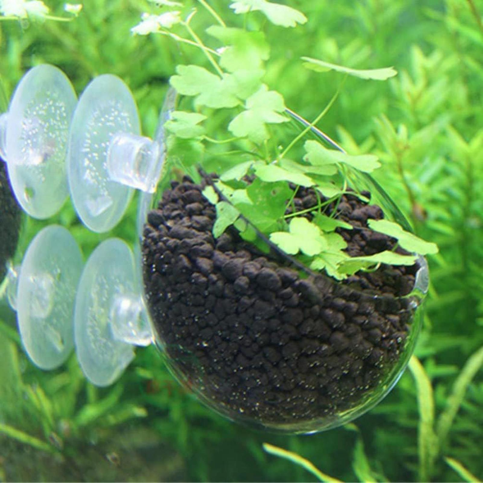 Szklany uchwyt na rośliny akwa – Marine Aquarium Live recenzja i cena