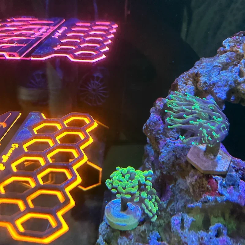 Magnetyczny uchwyt na koraliki – Coral Frag Plug recenzja i cena