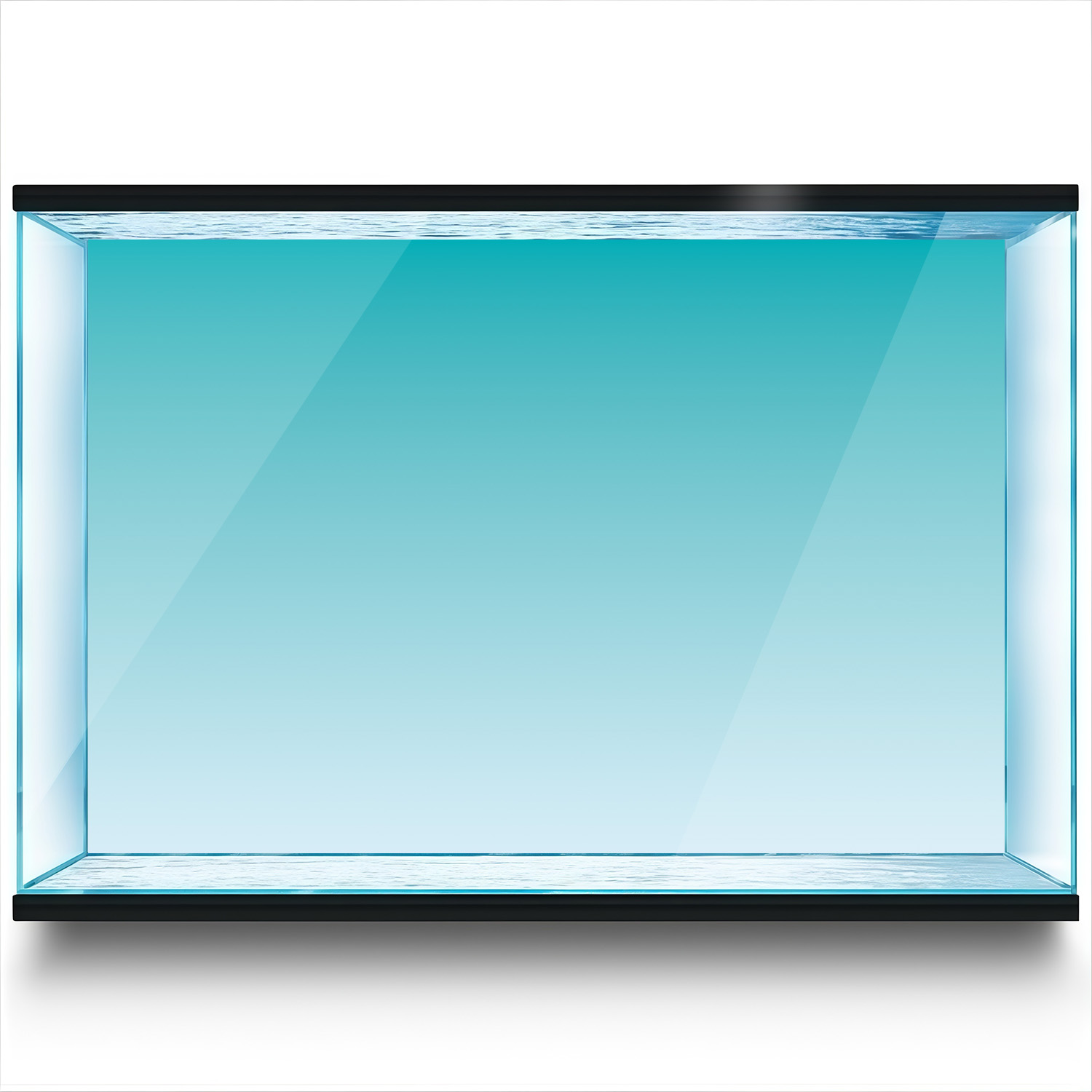 Niebiesko-biały gradient, malo – Marine Aquarium Glue recenzja i cena