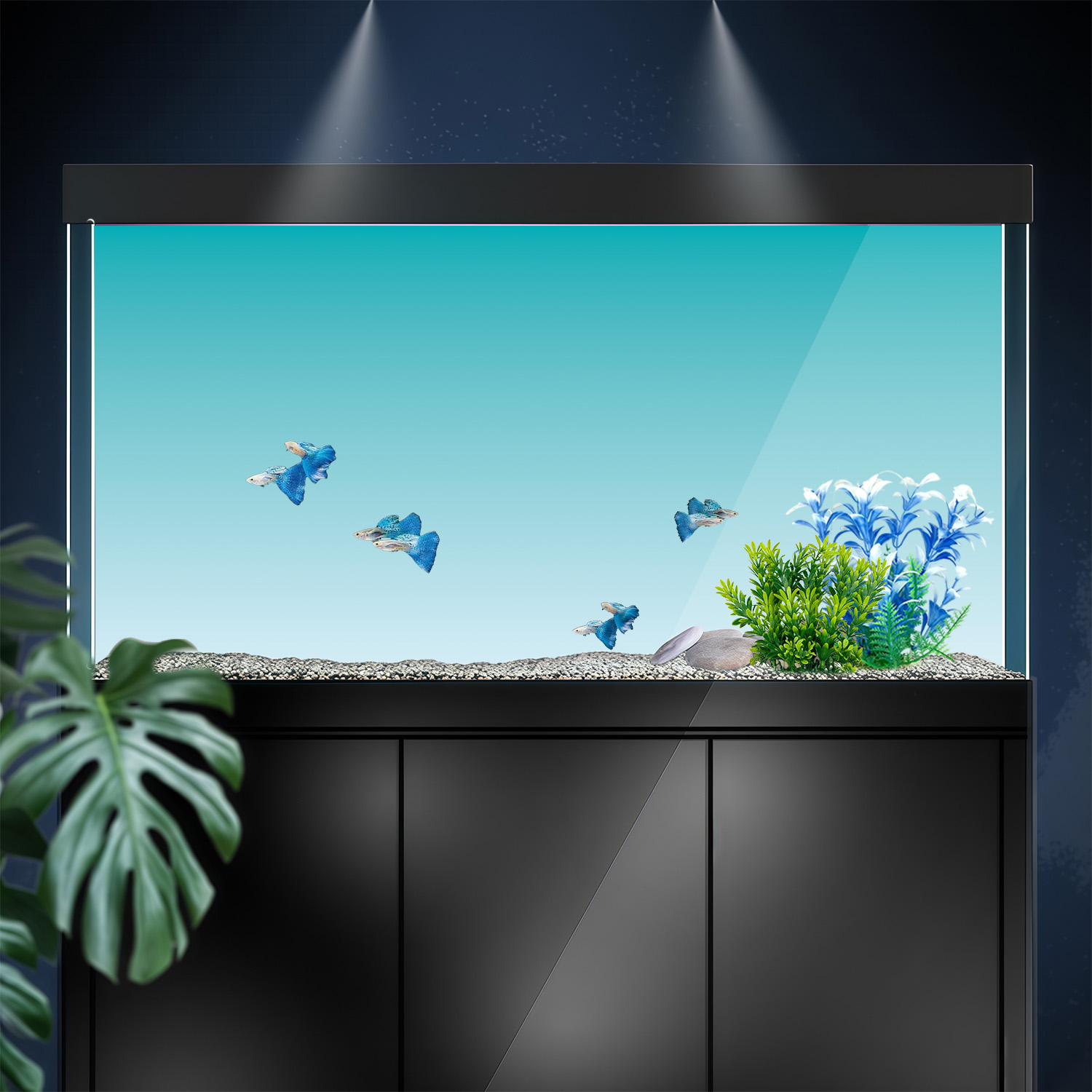 Niebiesko-biały gradient, malo – Marine Aquarium Glue recenzja i cena