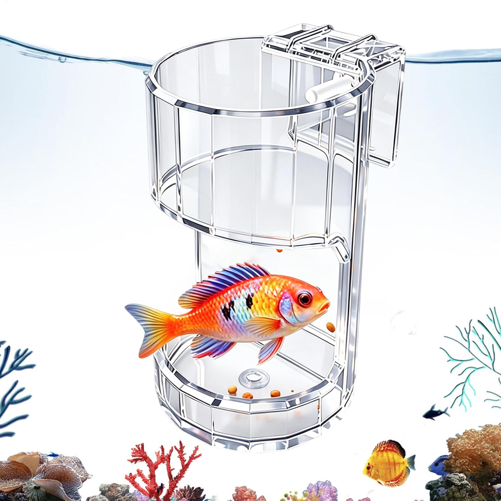 Przezroczysta miska na karmę d – Marine Aquarium Live recenzja i cena
