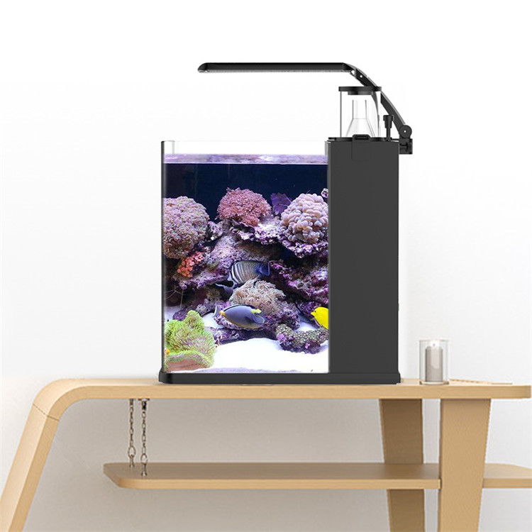 Skynuo Ultra Clear Glass Mini  – Marine Aquarium Cube recenzja i cena