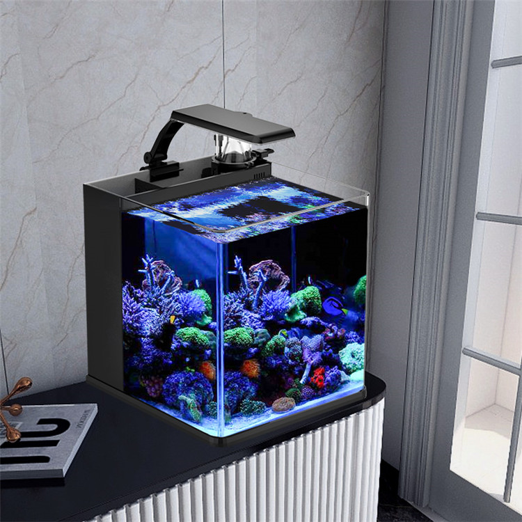 Skynuo Ultra Clear Glass Mini  – Marine Aquarium Cube recenzja i cena
