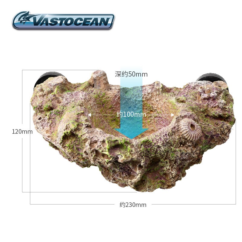 Magnetyczny uchwyt na anemosy  – Coral Frag Plug recenzja i cena