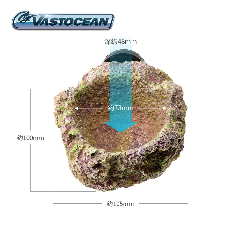 Magnetyczny uchwyt na anemosy  – Coral Frag Plug recenzja i cena