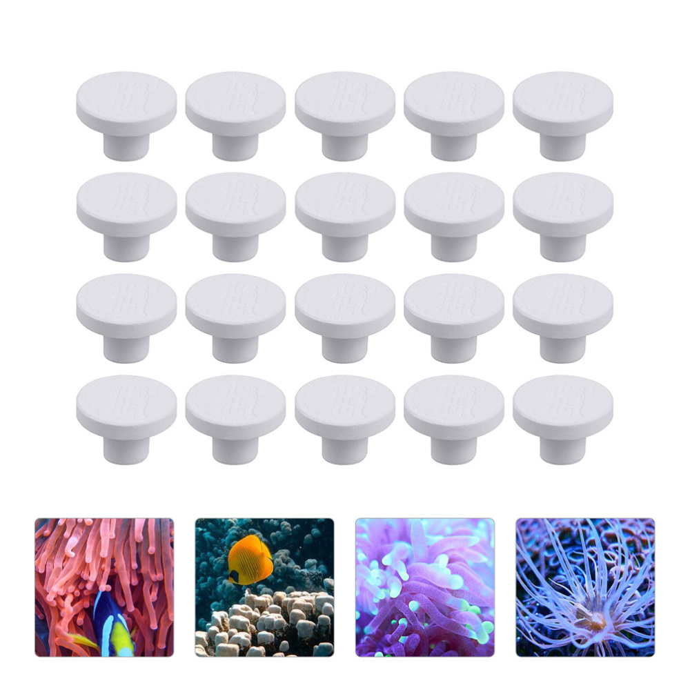 Podstawki ceramiczne SPS do ko – Coral Frag Plug recenzja i cena