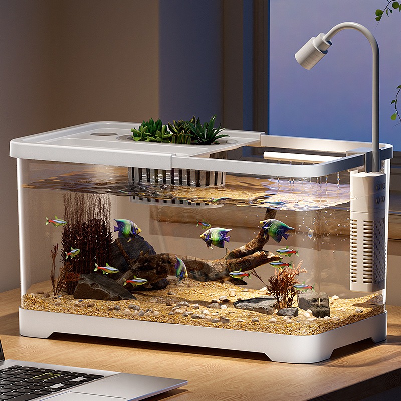 Akwarium domowe, akwarium do s – Marine Aquarium Live recenzja i cena