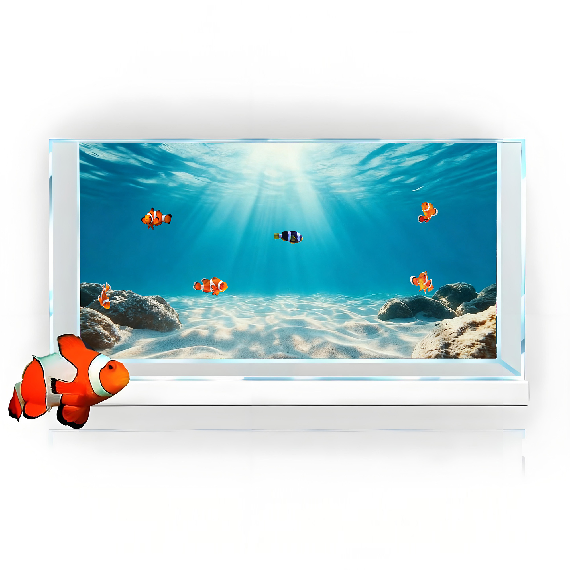 Niebieskie Morze, Przejrzysty  – Marine Aquarium Glue recenzja i cena