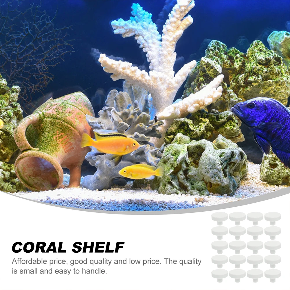 20 szt. Klej do koralów Bezpie – Coral Frag Plug recenzja i cena