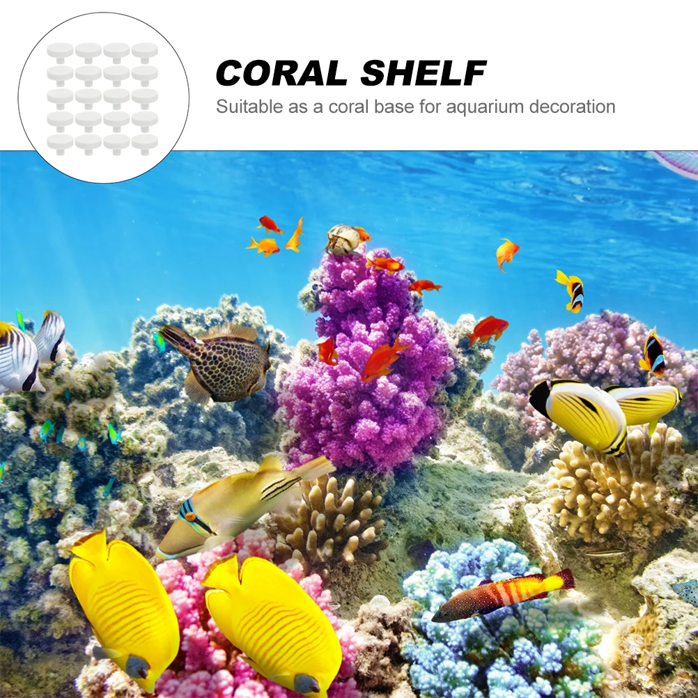 20 szt. Klej do koralów Bezpie – Coral Frag Plug recenzja i cena