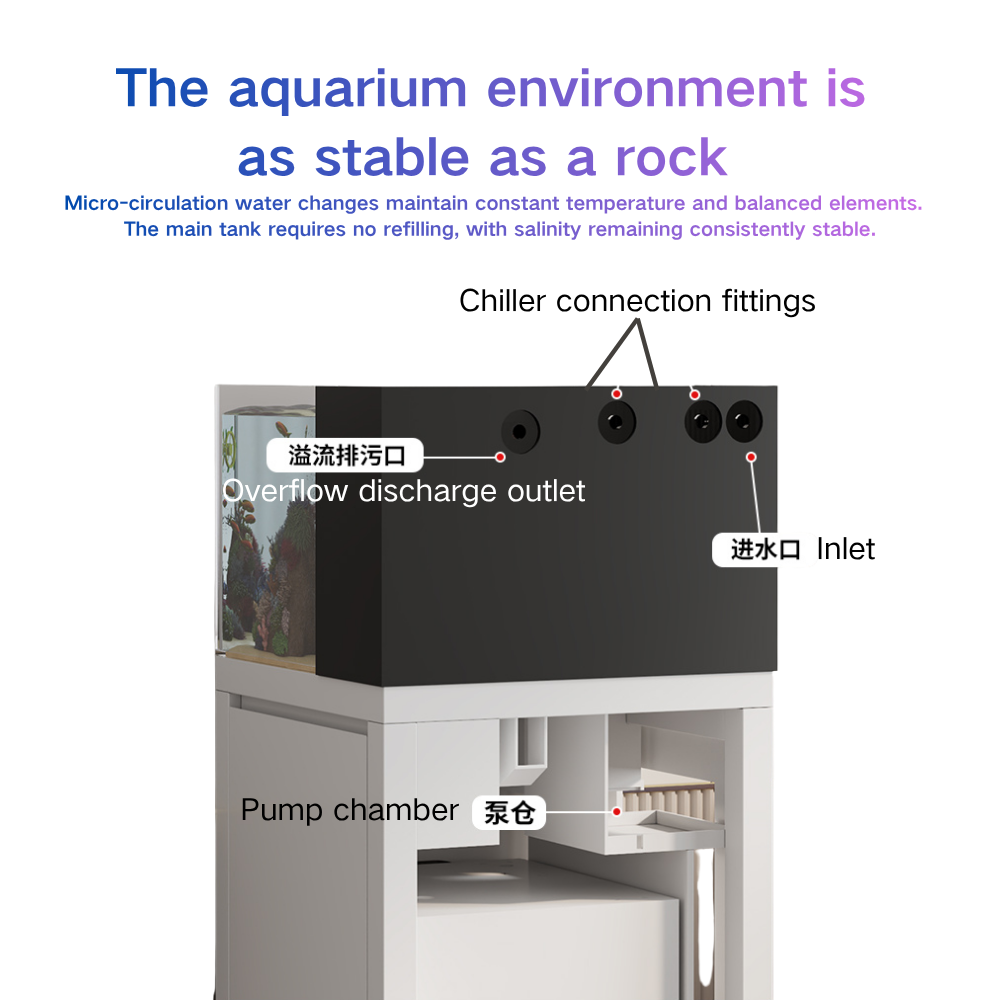Inteligentne akwarium z automa – Marine Aquarium Cube recenzja i cena