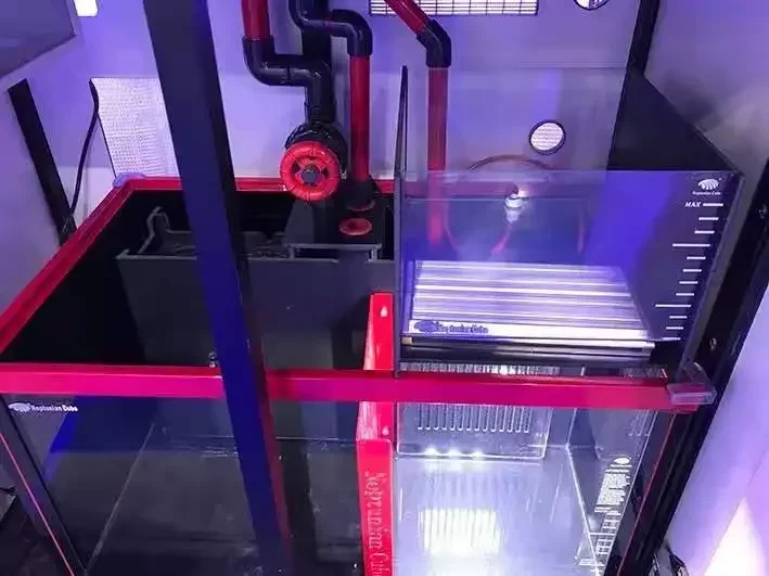 Oświetlenie LED Neptunian Cube – Marine Aquarium Cube recenzja i cena
