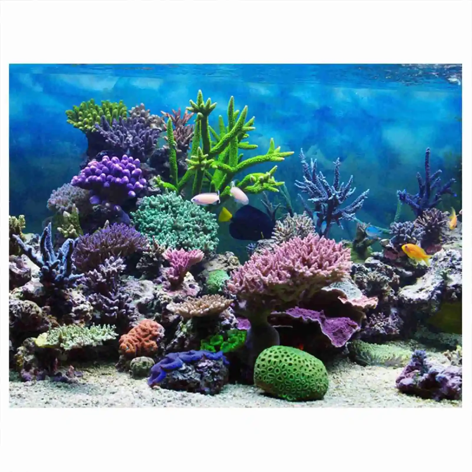 3D plakat krajobraz akwarium l – Marine Aquarium Glue recenzja i cena
