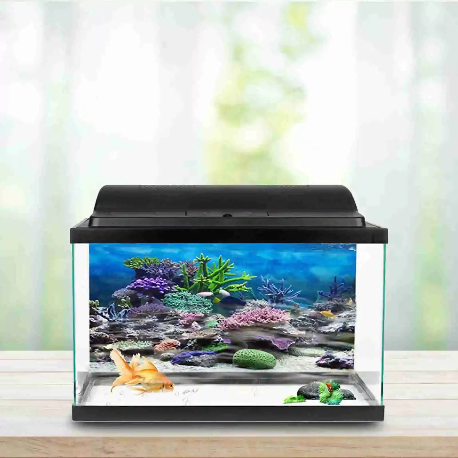 3D plakat krajobraz akwarium l – Marine Aquarium Glue recenzja i cena