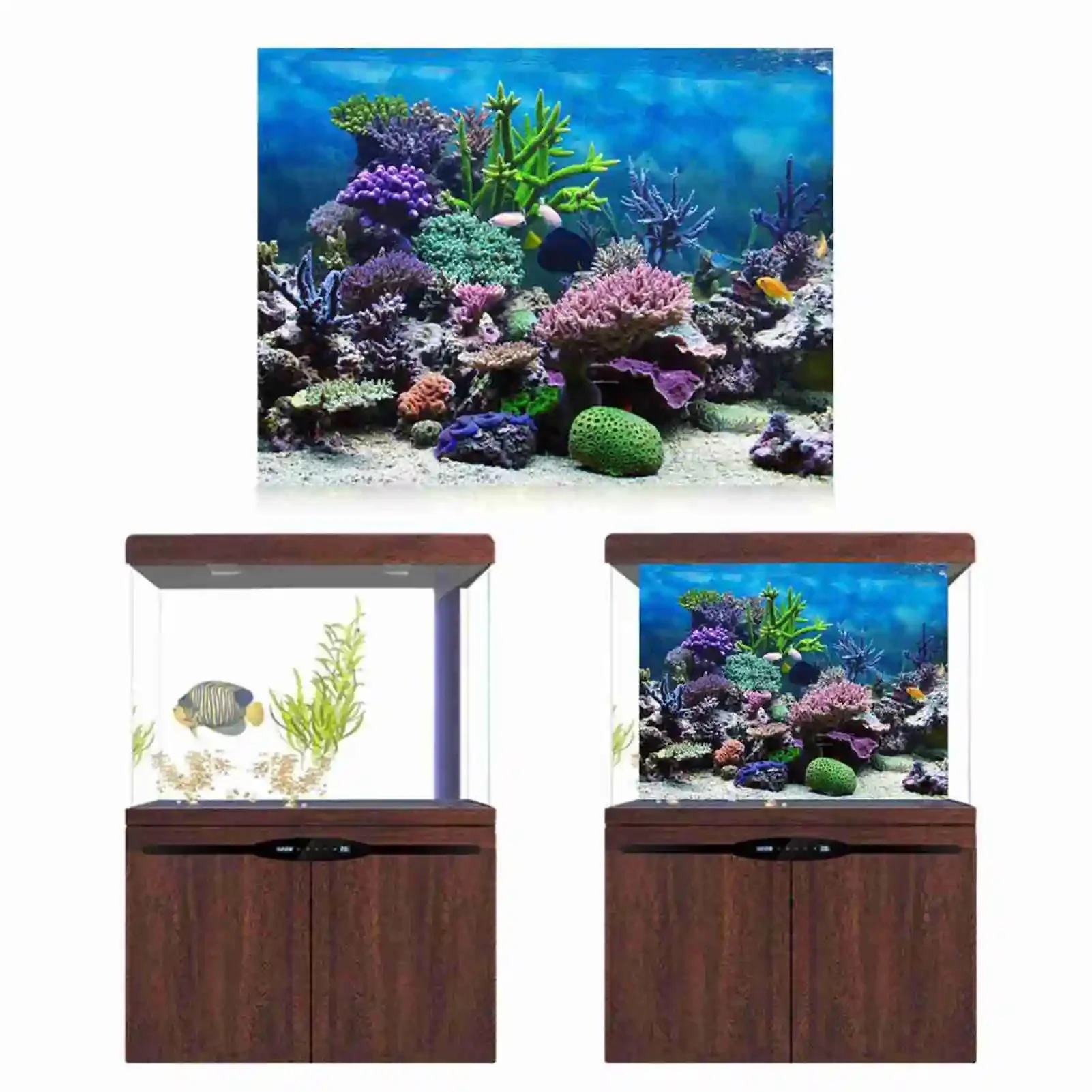 3D plakat krajobraz akwarium l – Marine Aquarium Glue recenzja i cena