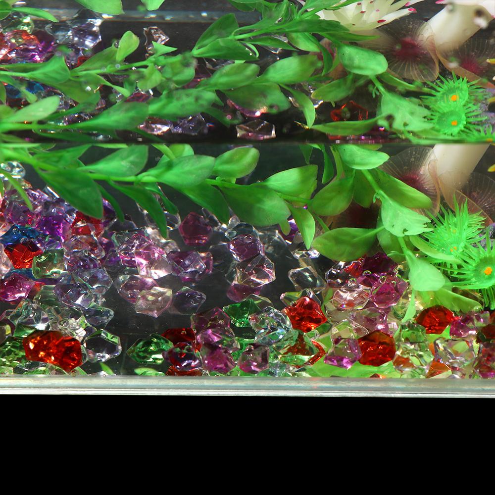 50 SZTUK / opakowanie Kolorowe – Marine Aquarium Cube recenzja i cena