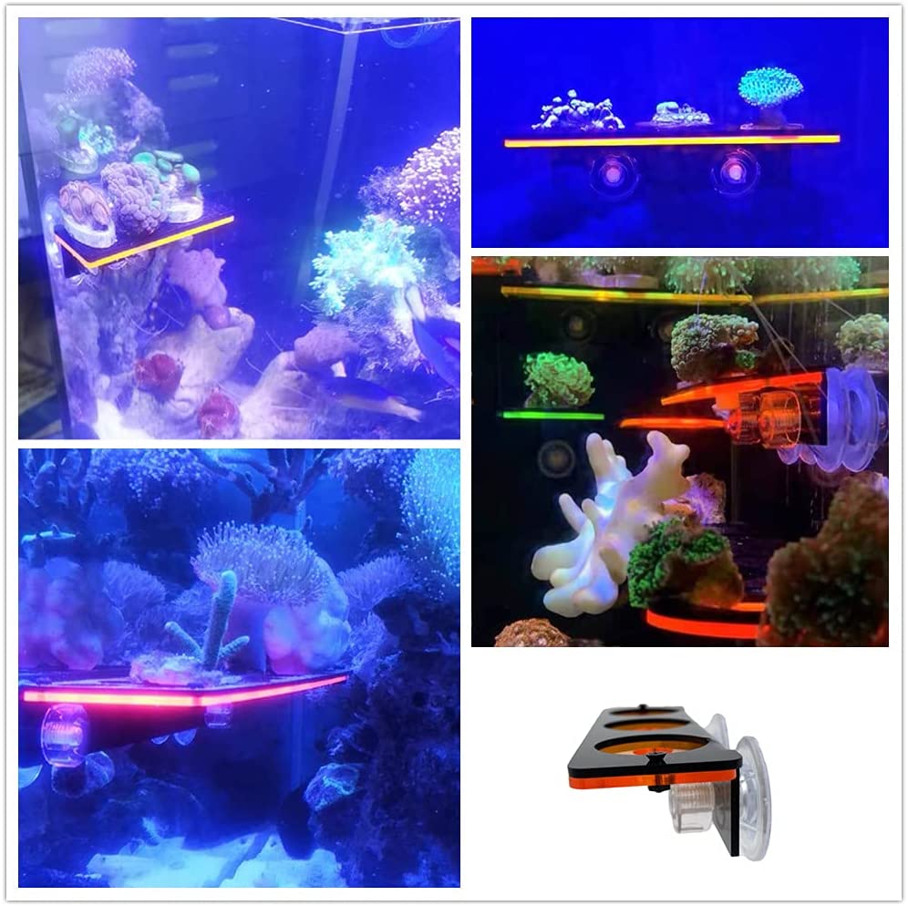 Fluorescencyjny koralowy wspor – Coral Frag Plug recenzja i cena