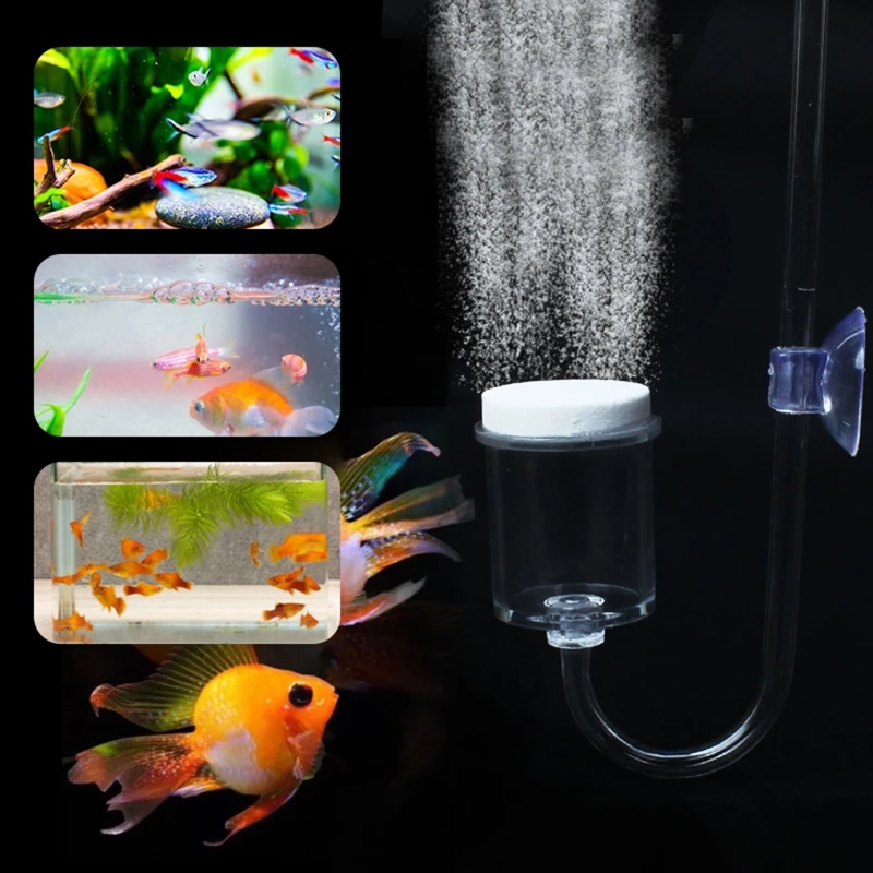 4szt Zestaw DIY Dyfuzor CO2 do – Marine Aquarium Live recenzja i cena