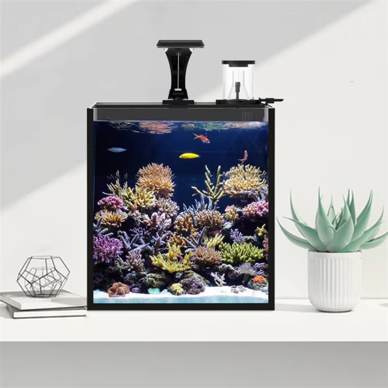 Zakrzywiony stolik z akwarium  – Marine Aquarium Live recenzja i cena